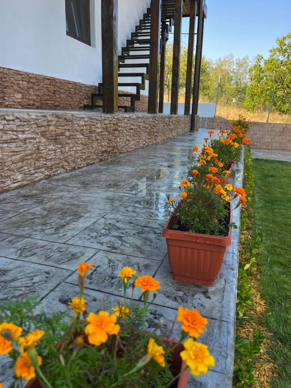 Villa Medi Boutique Sapareva Banya Εξωτερικό φωτογραφία